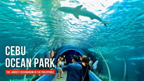 seaworld cebu|Cebu Ocean Park: The Largest Oceanarium in the Philippines.